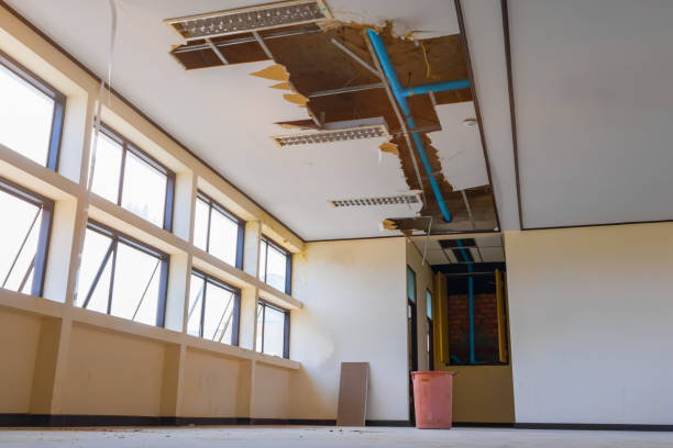 Best Fire Damage Restoration  in Blue Island, IL