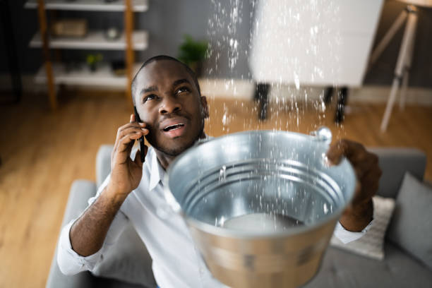 Best Ceiling water damage repair  in Blue Island, IL