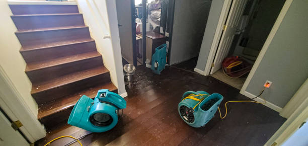 Best Flood restoration services  in Blue Island, IL