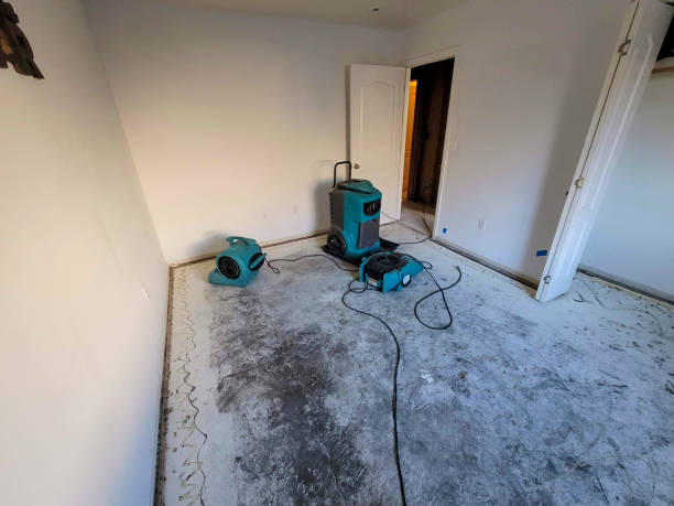 Best Professional water damage repair  in Blue Island, IL
