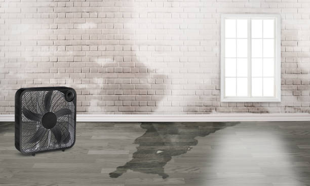 Best 24-hour water damage restoration  in Blue Island, IL