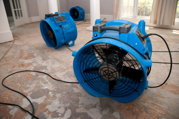 Best Flood restoration services  in Blue Island, IL