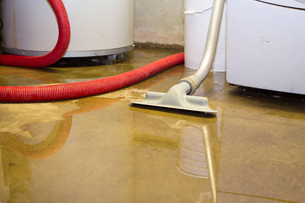 Best Sewage cleanup and water damage restoration  in Blue Island, IL