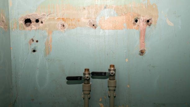 Best Ceiling water damage repair  in Blue Island, IL