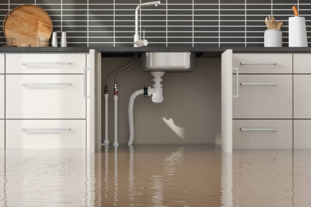 Best Carpet water damage restoration  in Blue Island, IL
