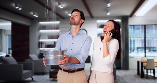 Best Local water damage restoration  in Blue Island, IL
