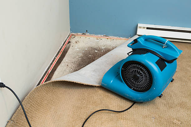Best Residential water damage restoration  in Blue Island, IL
